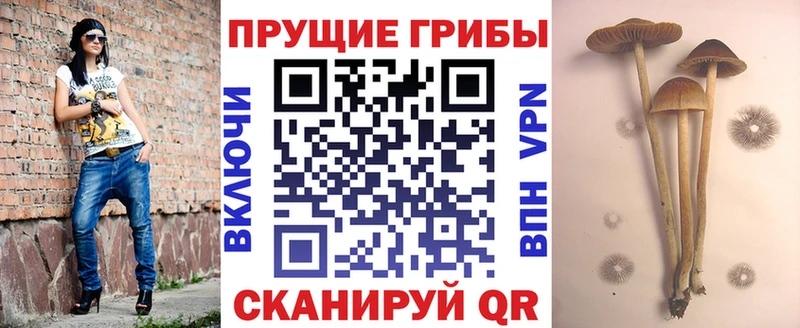 Псилоцибиновые грибы MAGIC MUSHROOMS  что такое   Новосиль 