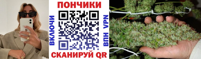 mega сайт  даркнет сайт  Новосиль  Каннабис SATIVA & INDICA 